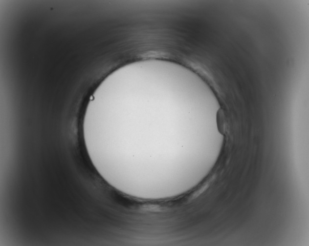 X0000087610298200705251948