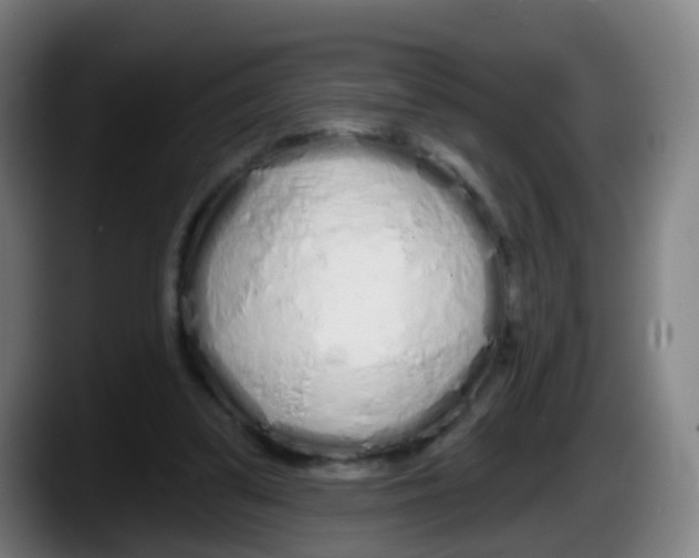 X0000087610299200705251948