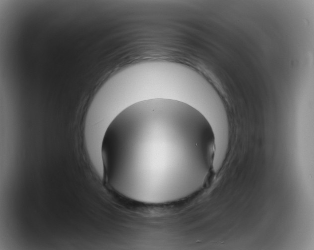 X0000087610305200705251948