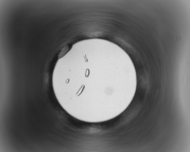 X0000087610308200705251948