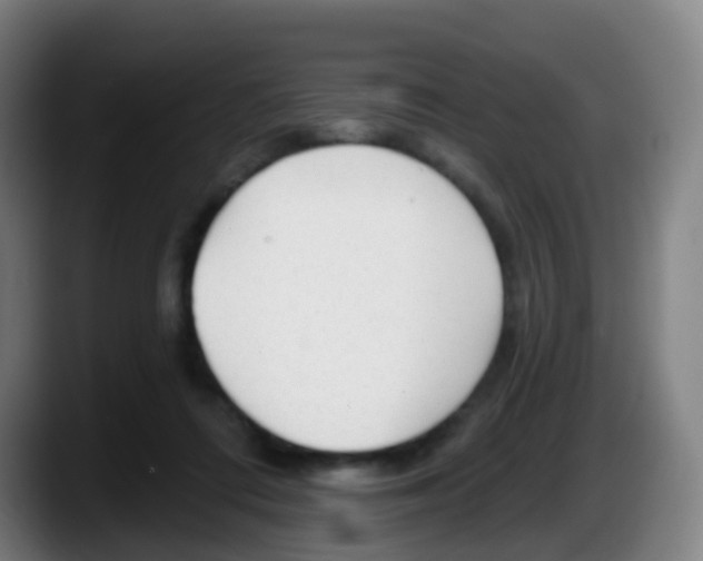 X0000087610312200705251948