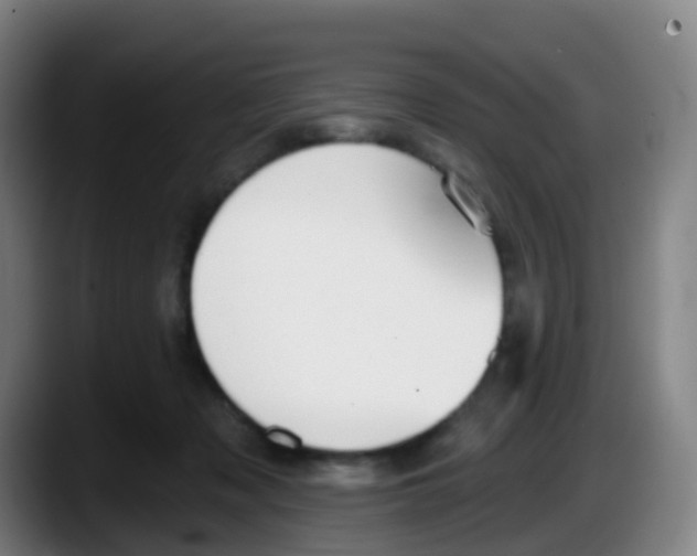 X0000087610317200705251948