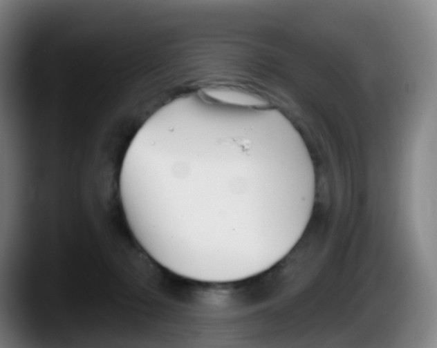 X0000087610318200705251948