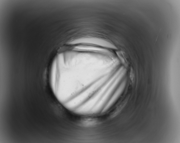 X0000087610319200705251948