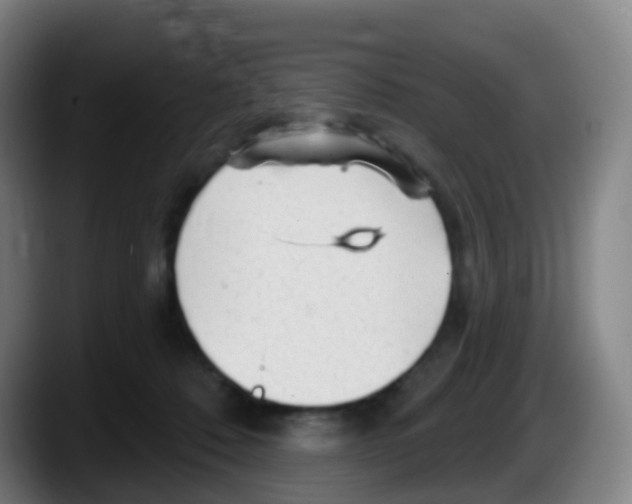 X0000087610320200705251948