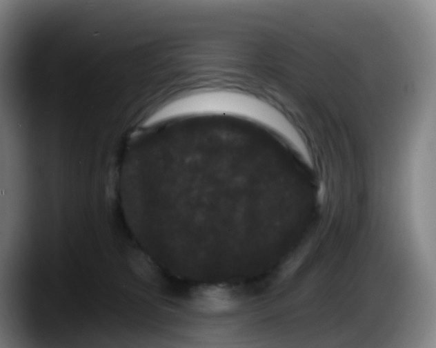 X0000087610325200705251947