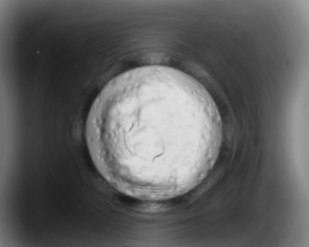 X0000087610326200705251947