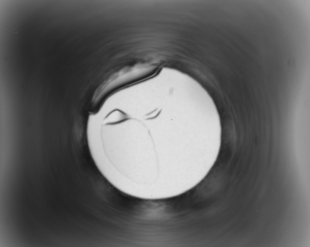 X0000087610328200705251947