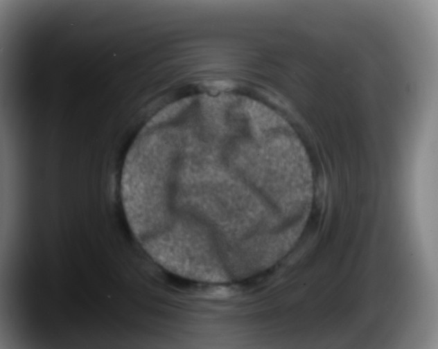 X0000087610330200705251947