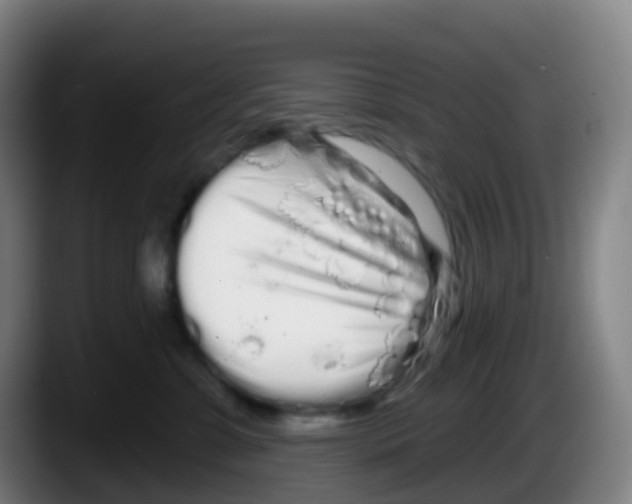 X0000087610331200705251947