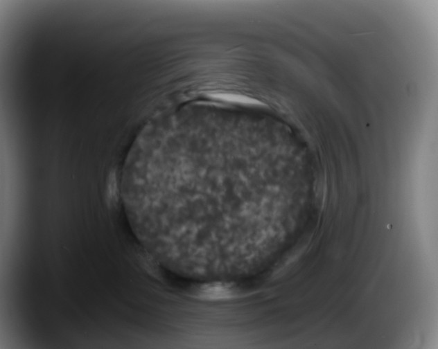 X0000087610335200705251947