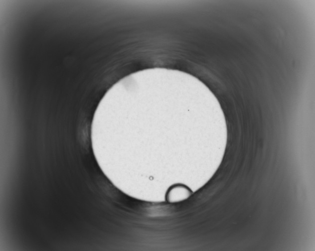 X0000087610336200705251947