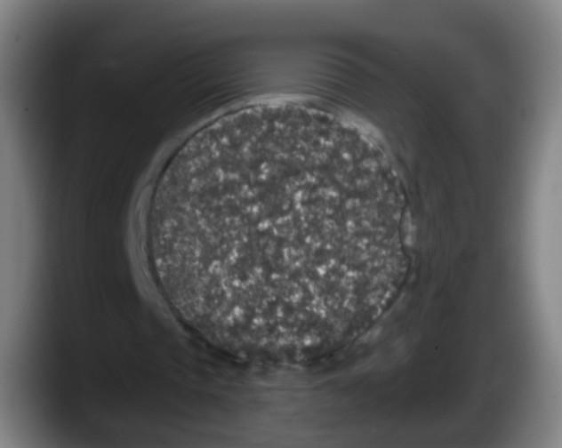 X0000087610337200705251947