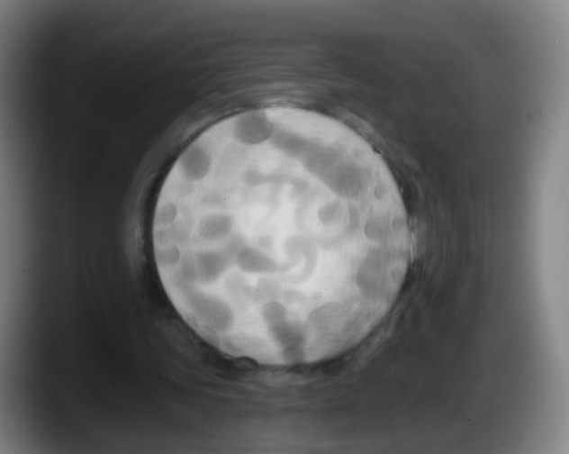 X0000087610339200705251947