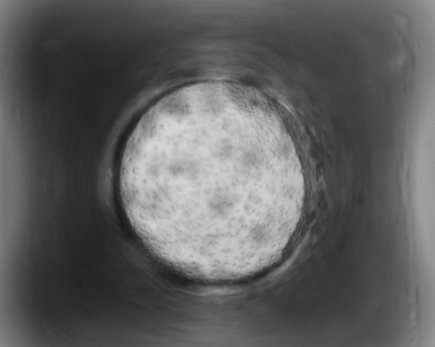 X0000087610342200705251947