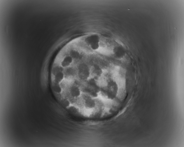 X0000087610343200705251947