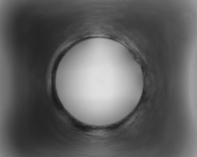 X0000087610344200705251947