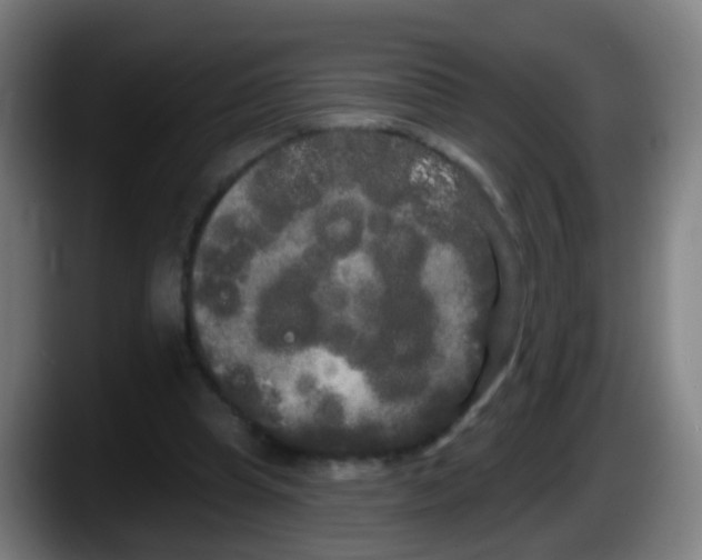 X0000087610345200705251947