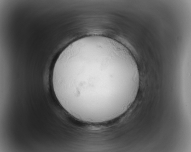 X0000087610346200705251947