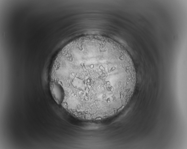 X0000087610347200705251947