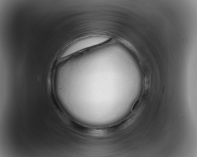 X0000087610349200705251947