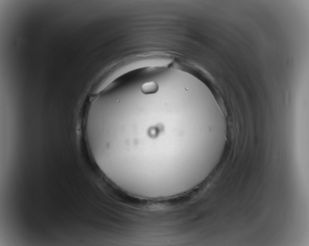 X0000087610350200705251947