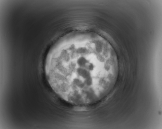 X0000087610354200705251947