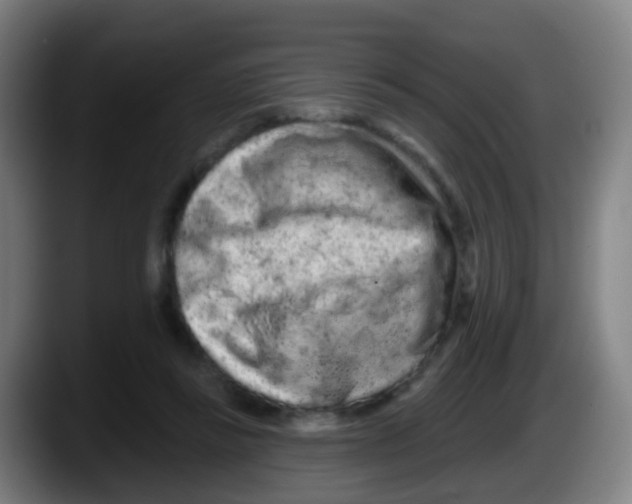 X0000087610355200705251947