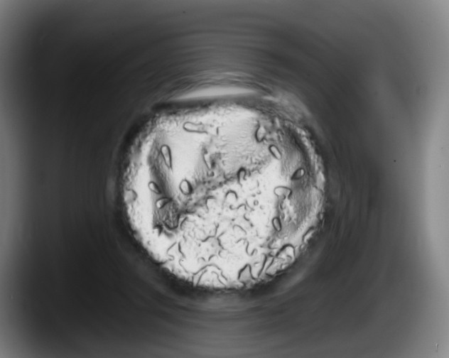 X0000087610357200705251947