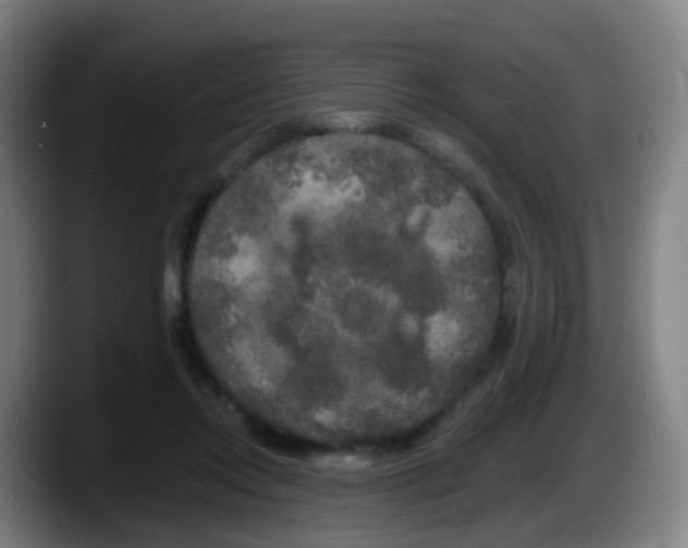 X0000087610358200705251947