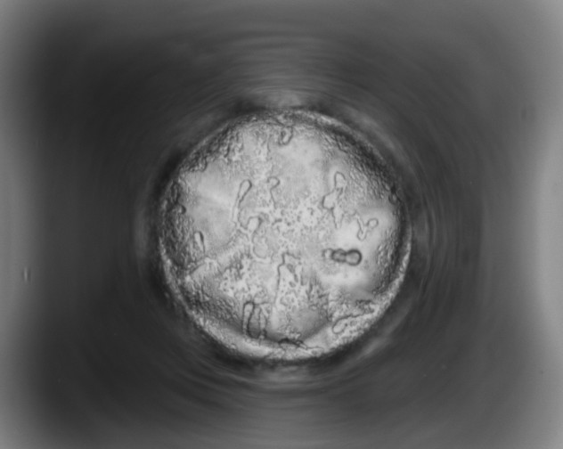 X0000087610359200705251947