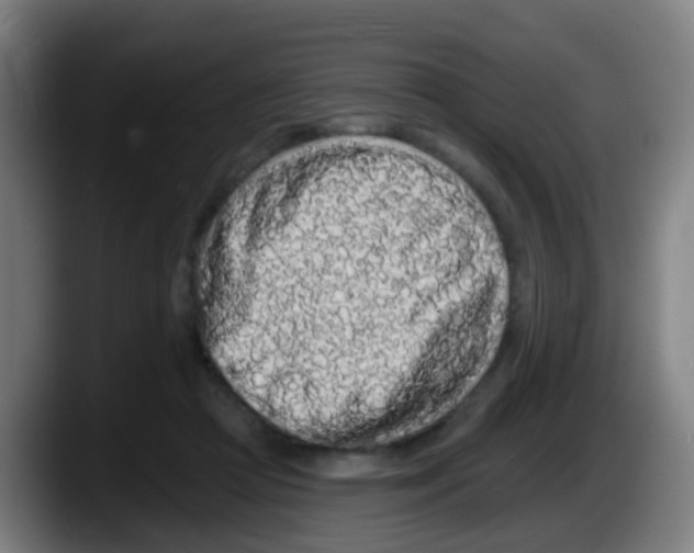 X0000087610361200705251947