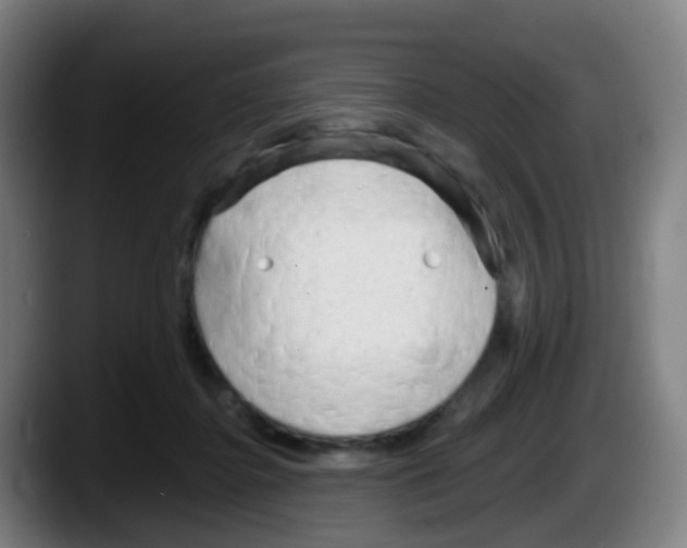 X0000087610364200705251947