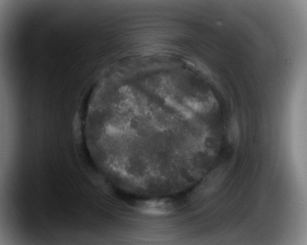 X0000087610366200705251947