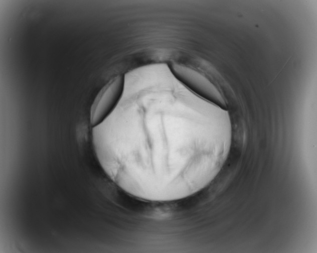 X0000087610368200705251947