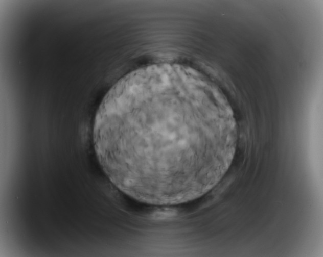 X0000087610369200705251947