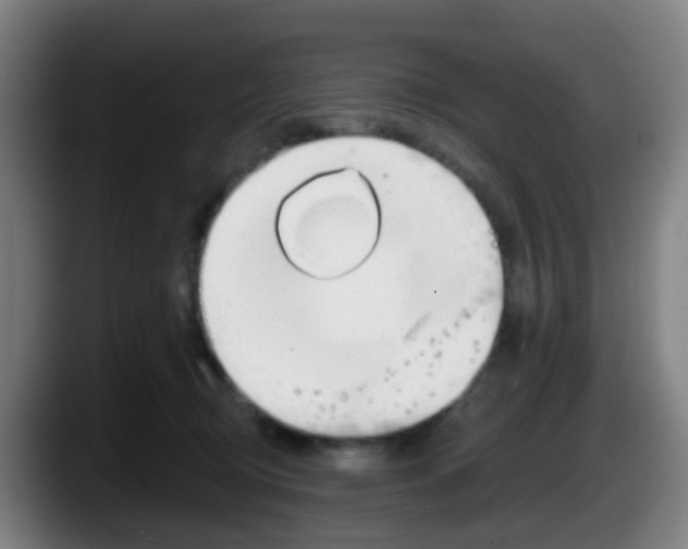 X0000087610370200705251947