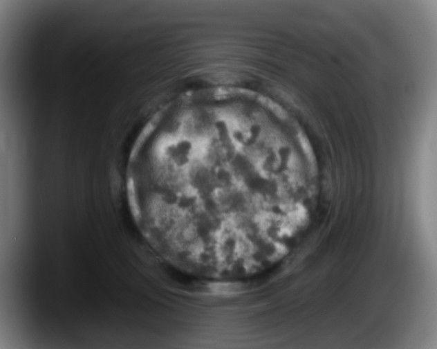 X0000087610371200705251947