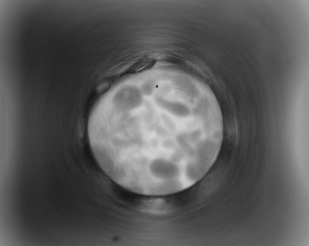 X0000087610374200705251947