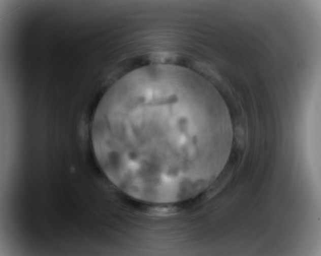 X0000087610375200705251947