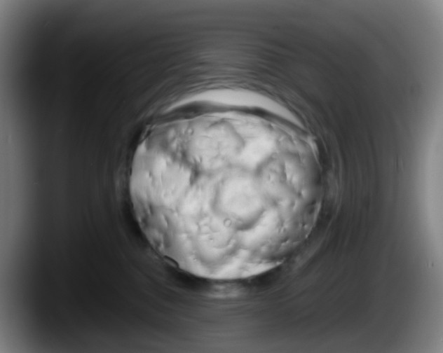 X0000087610376200705251947