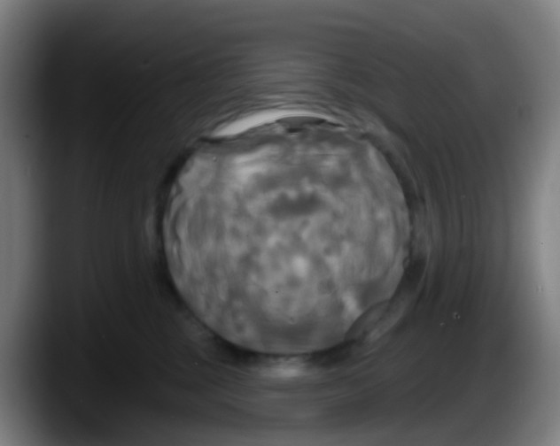 X0000087610377200705251947