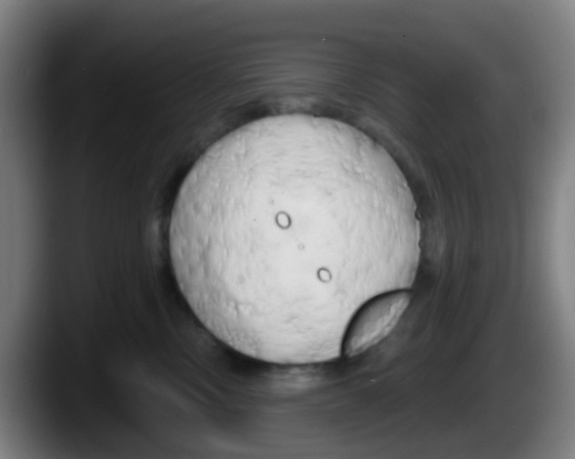 X0000087610378200705251947