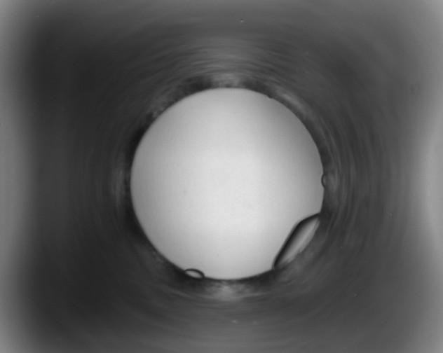 X0000087610379200705251947