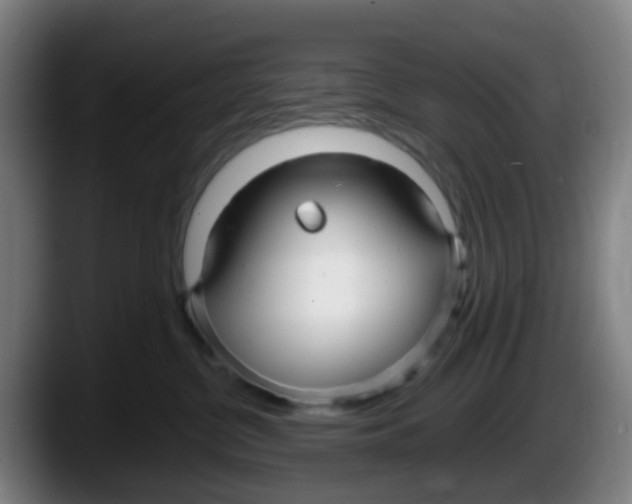 X0000087610380200705251947