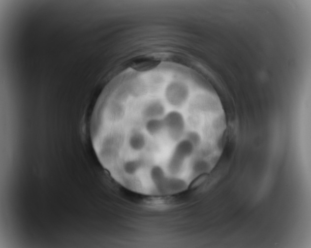 X0000087610381200705251947