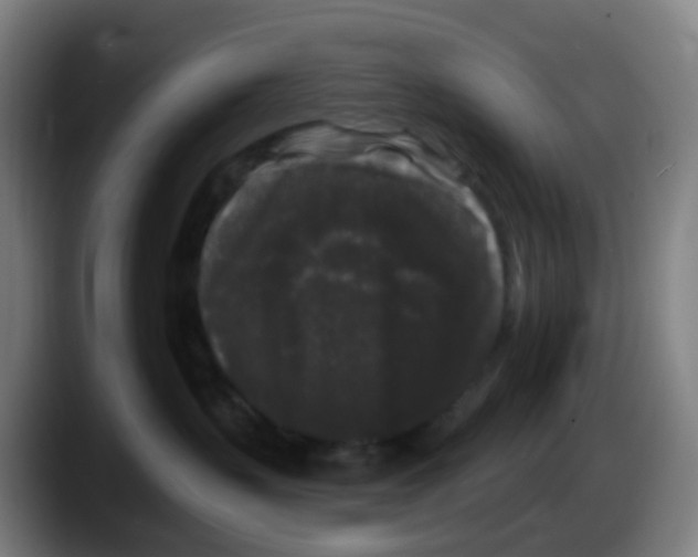 X0000087610383200705251947