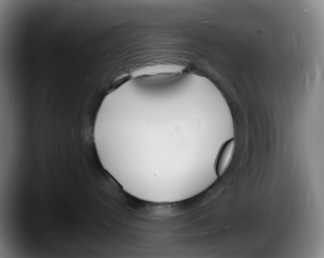 X0000087610384200705251947