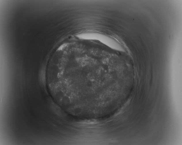 X0000087610386200705251947