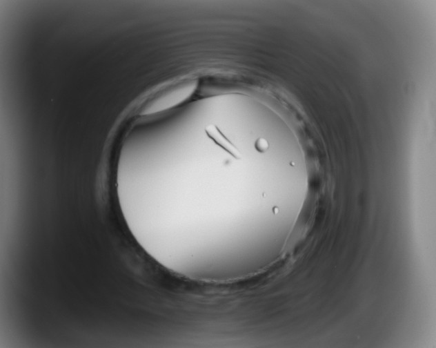 X0000087610388200705251947